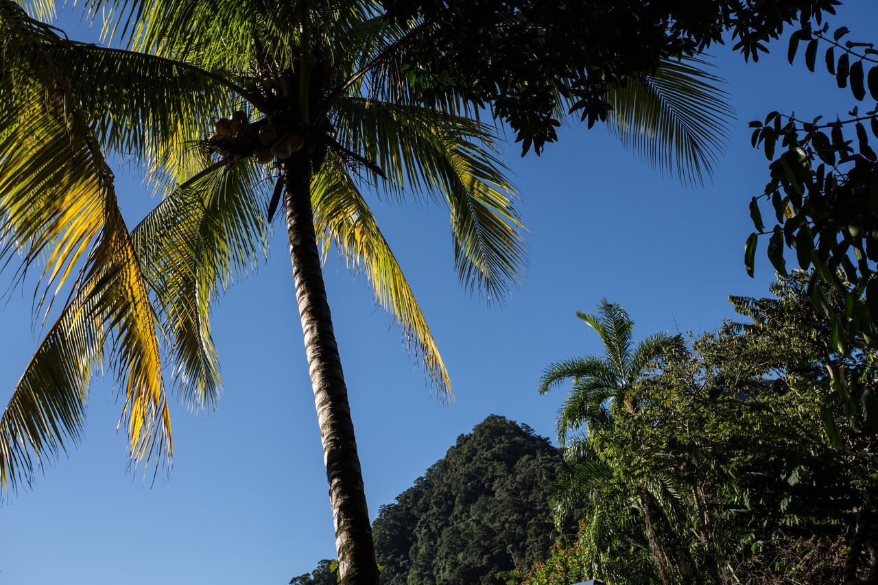 Omega Tours Eco-Jungle Lodge La Ceiba Exterior photo