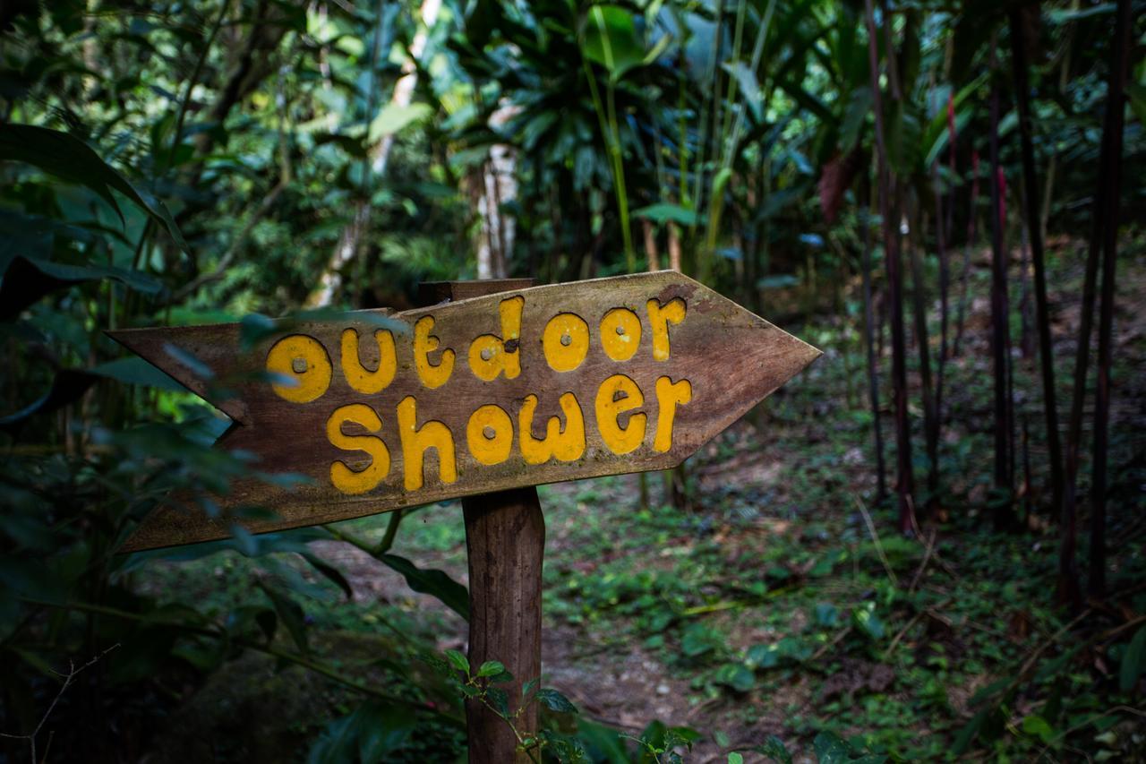Omega Tours Eco-Jungle Lodge La Ceiba Exterior photo