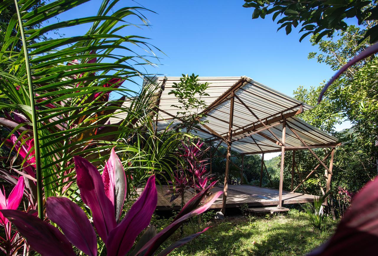 Omega Tours Eco-Jungle Lodge La Ceiba Exterior photo